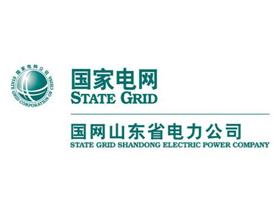 山東國網